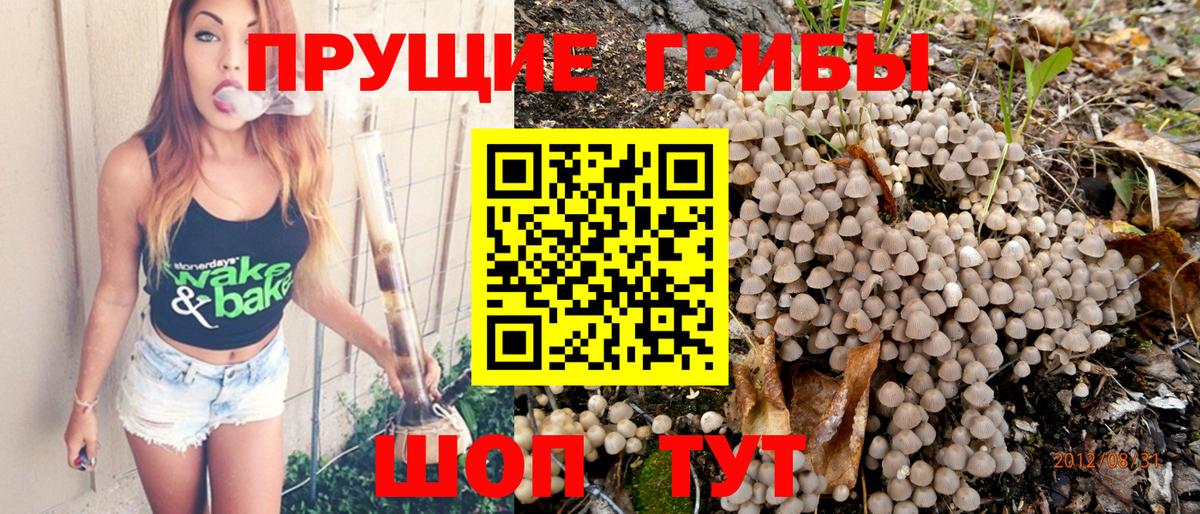 Псилоцибиновые грибы Psilocybine cubensis  Вход с VPN  Кыштым 